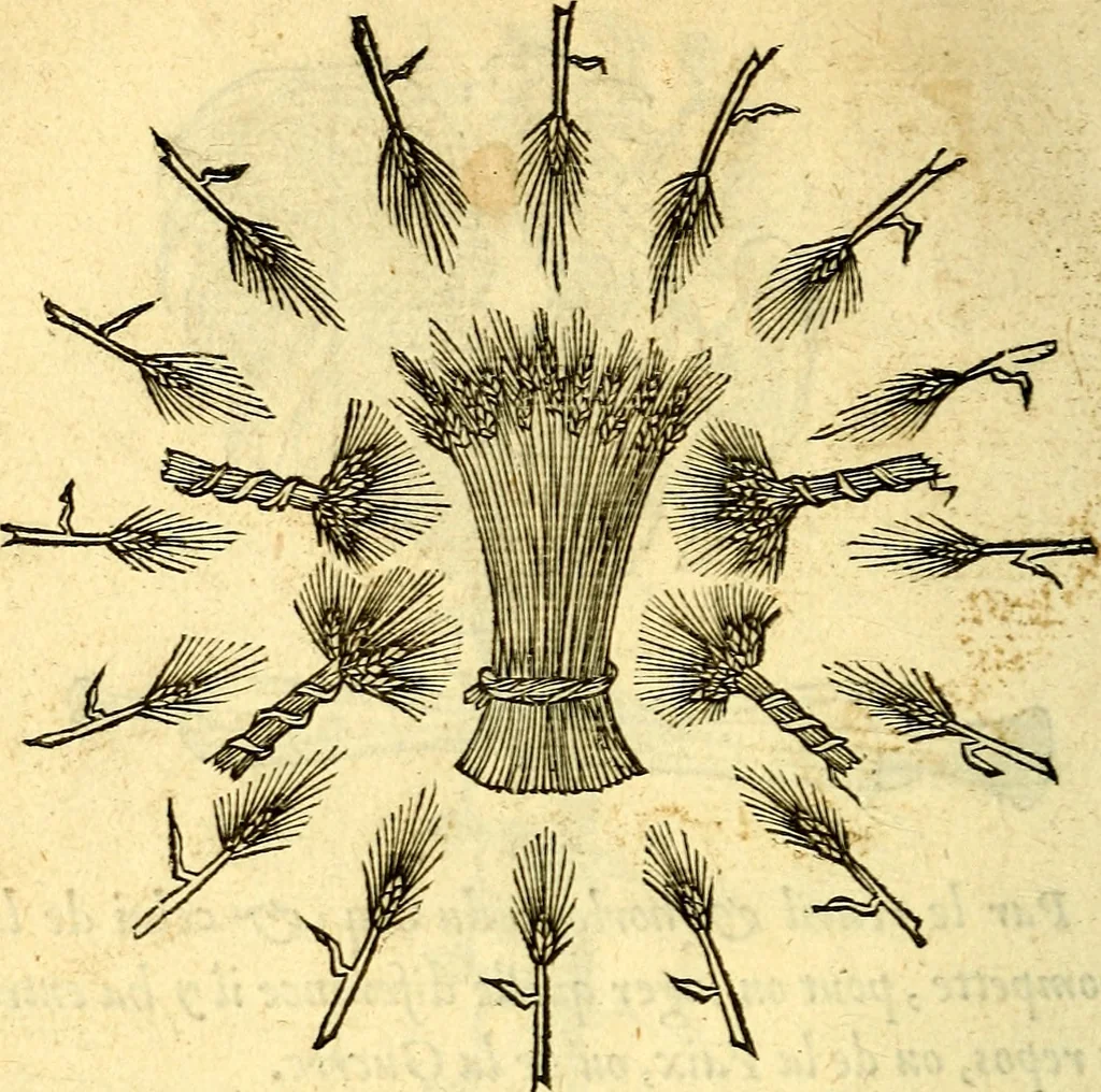 An illustration from Devises heroïqves, 1557, leaf 215