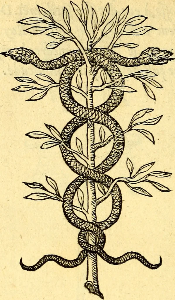 An illustration from Devises heroïqves, 1557, leaf 239