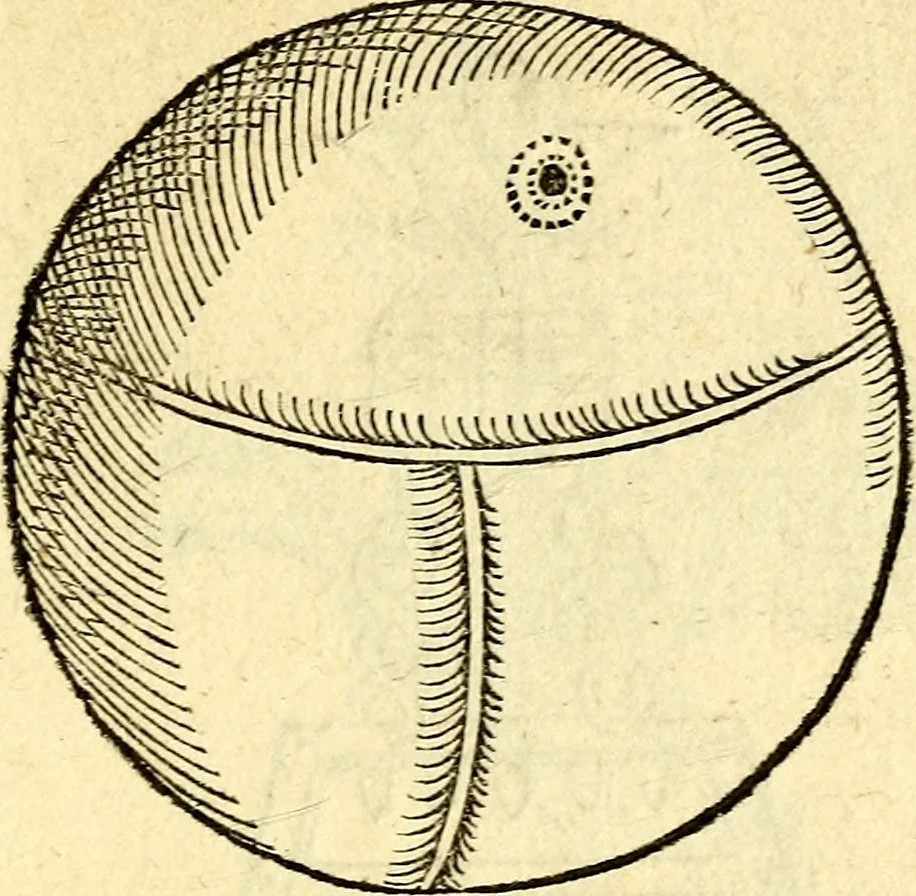 An illustration from Devises heroïqves, 1557, leaf 242