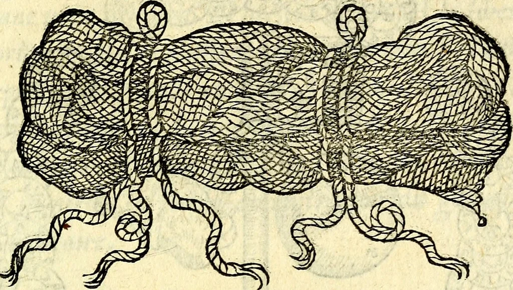 An illustration from Devises heroïqves, 1557, leaf 250