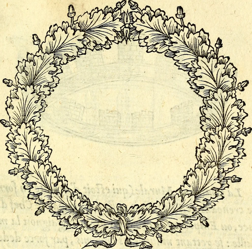 An illustration from Devises heroïqves, 1557, leaf 256