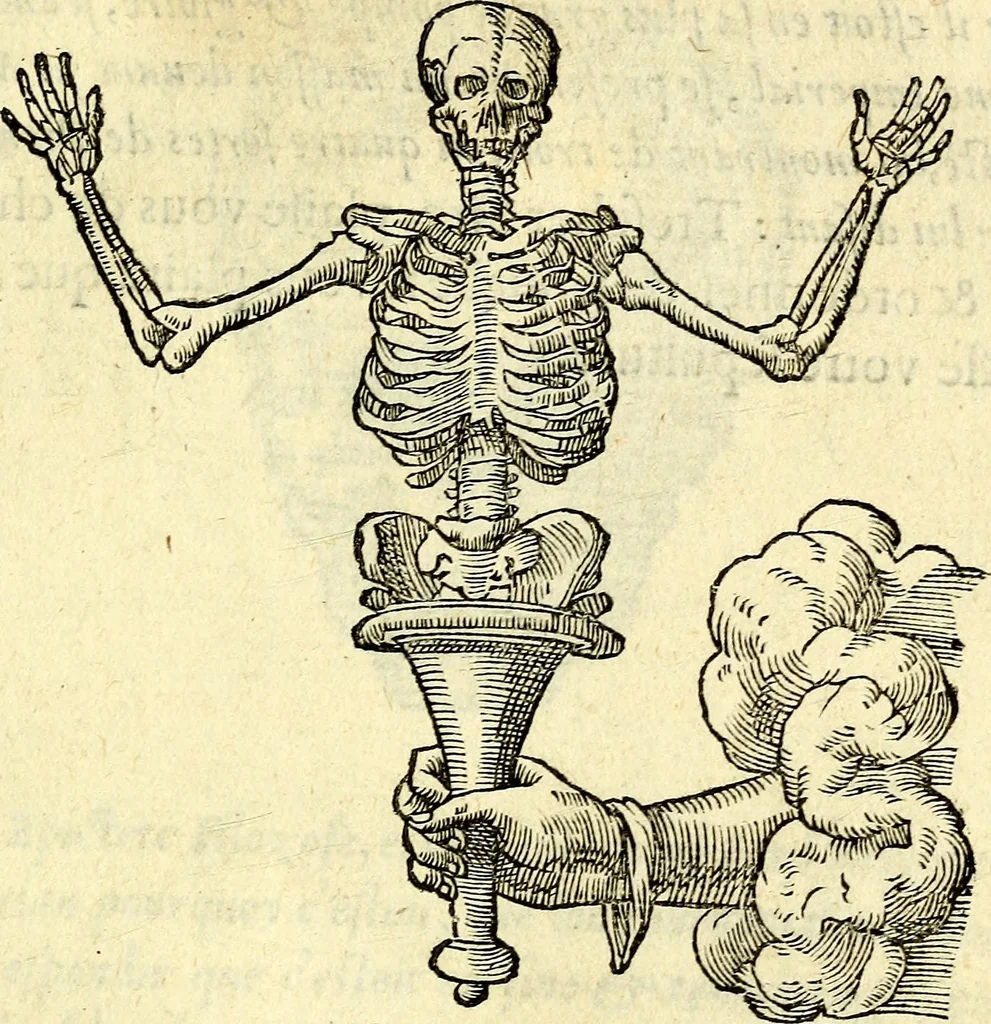 An illustration from Devises heroïqves, 1557, leaf 260