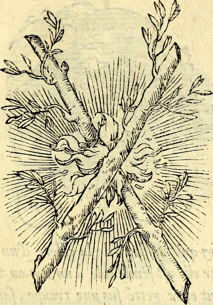 An illustration from Devises heroïqves, 1557, leaf 52