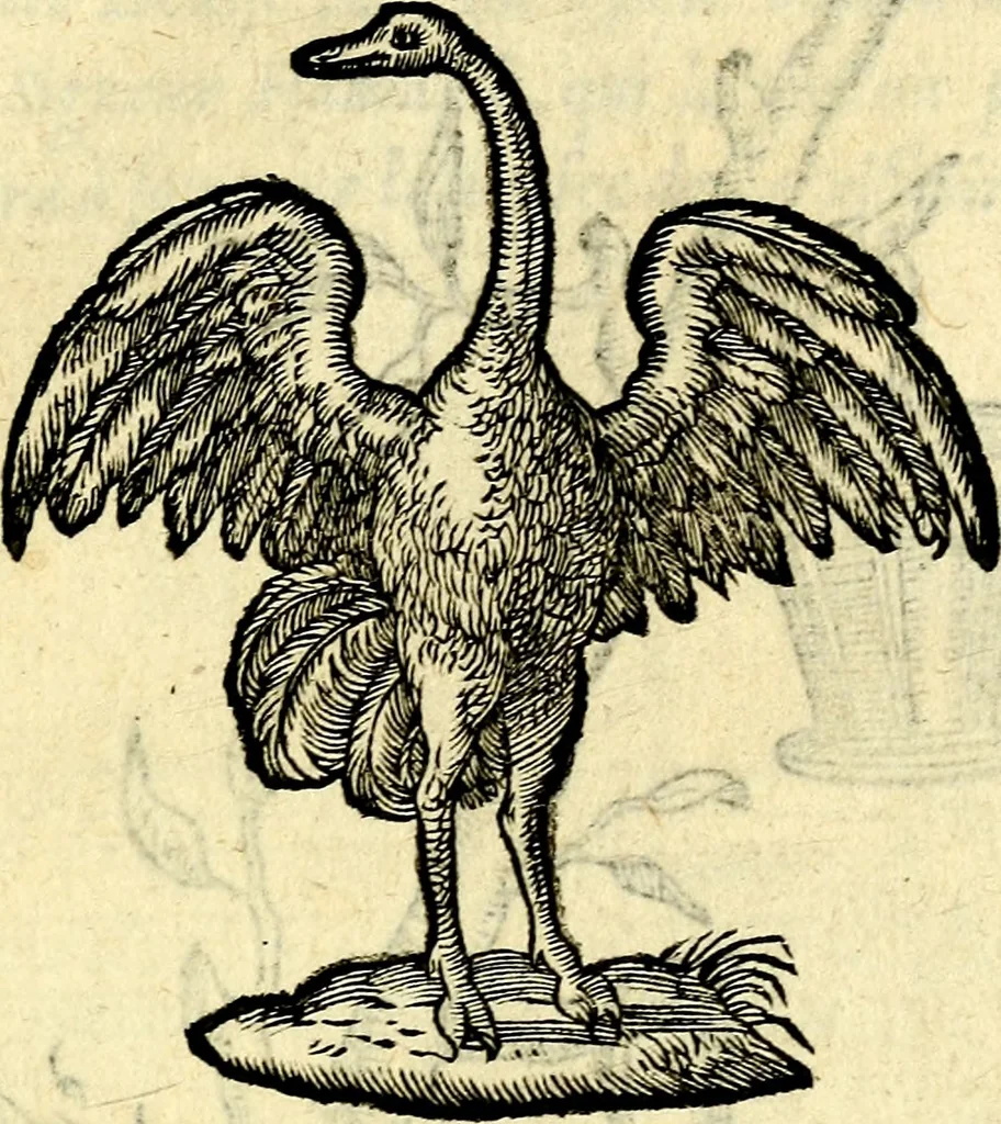 An illustration from Devises heroïqves, 1557, leaf 54