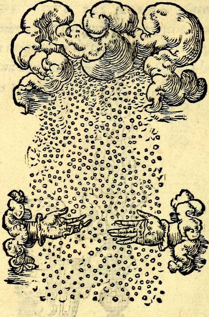 An illustration from Devises heroïqves, 1557, leaf 61