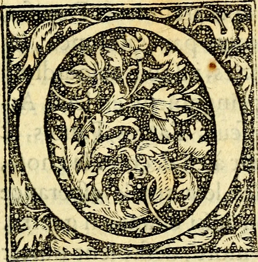 An illustration from Devises heroïqves, 1557, leaf 8