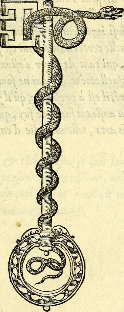 An illustration from Devises heroïqves, 1557, leaf 82