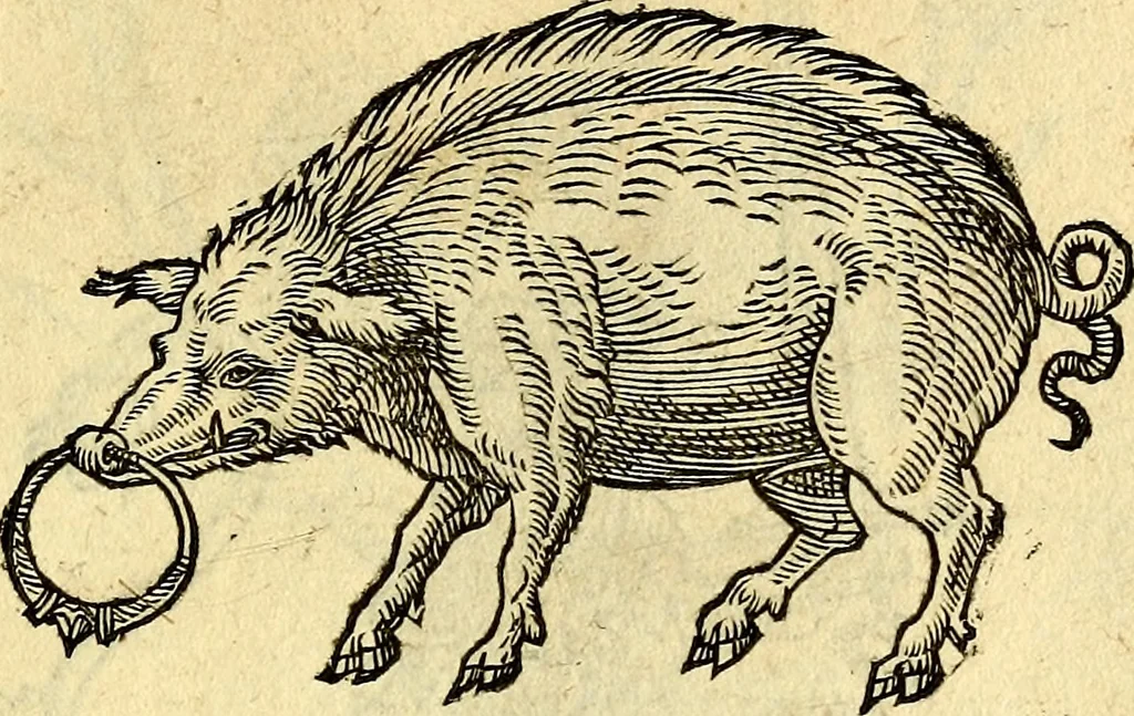An illustration from Devises heroïqves, 1557, leaf 90