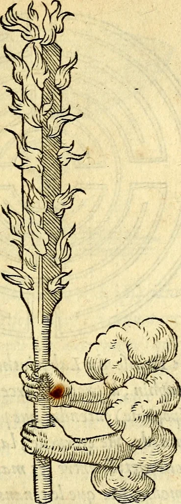 An illustration from Devises heroïqves, 1557, leaf 98