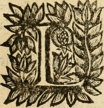 An illustration from Devises panegyriques pour Anne d'Austriche, reine de France, 1667, leaf 122