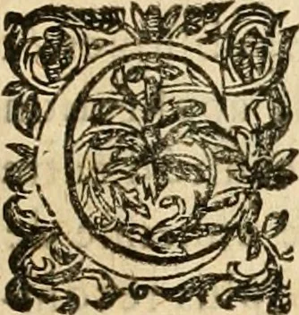 An illustration from Devises panegyriques pour Anne d'Austriche, reine de France, 1667, leaf 130