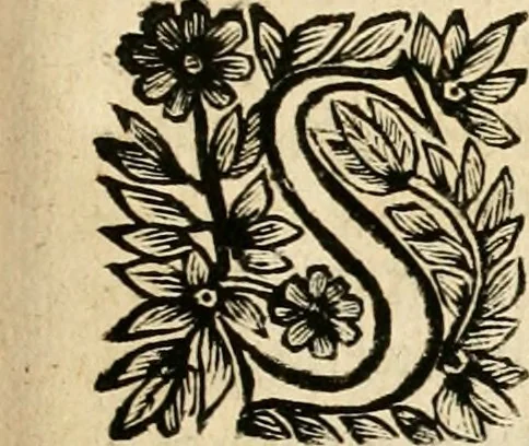 An illustration from Devises panegyriques pour Anne d'Austriche, reine de France, 1667, leaf 140