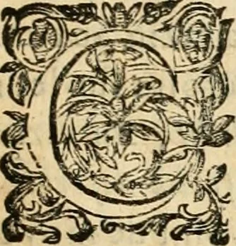 An illustration from Devises panegyriques pour Anne d'Austriche, reine de France, 1667, leaf 148