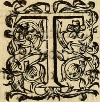 An illustration from Devises panegyriques pour Anne d'Austriche, reine de France, 1667, leaf 158