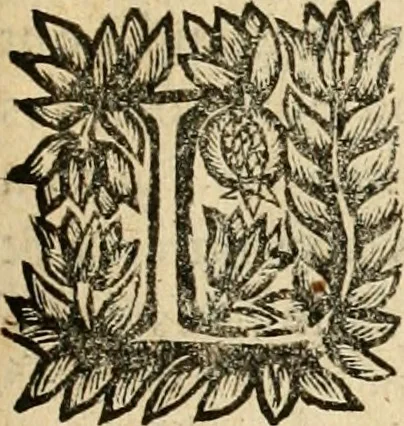 An illustration from Devises panegyriques pour Anne d'Austriche, reine de France, 1667, leaf 168