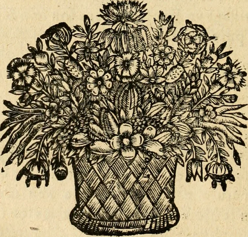 An illustration from Devises panegyriques pour Anne d'Austriche, reine de France, 1667, leaf 173