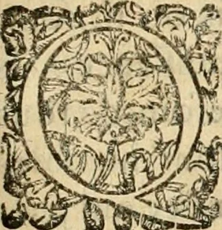 An illustration from Devises panegyriques pour Anne d'Austriche, reine de France, 1667, leaf 176