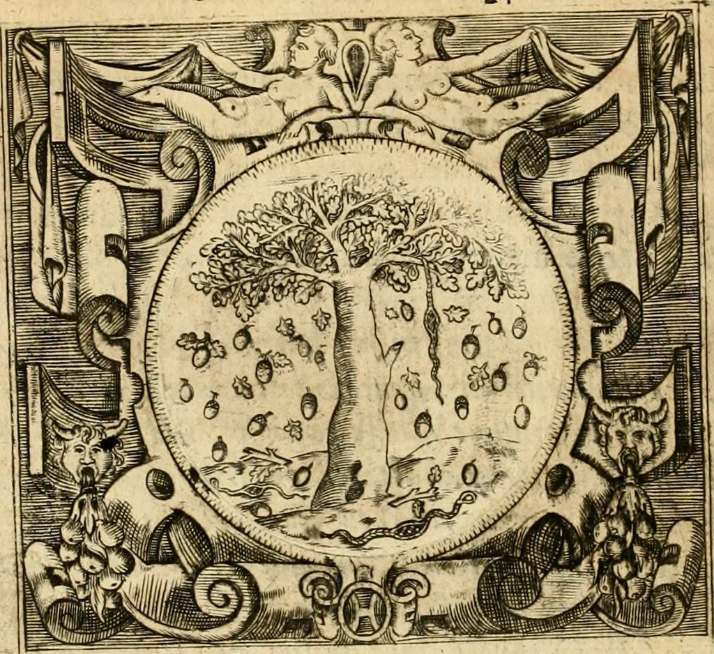 An illustration from Devises panegyriques pour Anne d'Austriche, reine de France, 1667, leaf 183