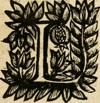 An illustration from Devises panegyriques pour Anne d'Austriche, reine de France, 1667, leaf 184