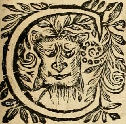 An illustration from Devises panegyriques pour Anne d'Austriche, reine de France, 1667, leaf 202