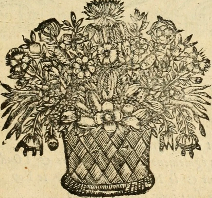 An illustration from Devises panegyriques pour Anne d'Austriche, reine de France, 1667, leaf 256
