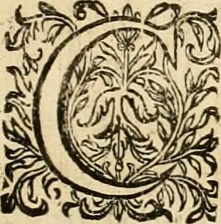 An illustration from Devises panegyriques pour Anne d'Austriche, reine de France, 1667, leaf 306