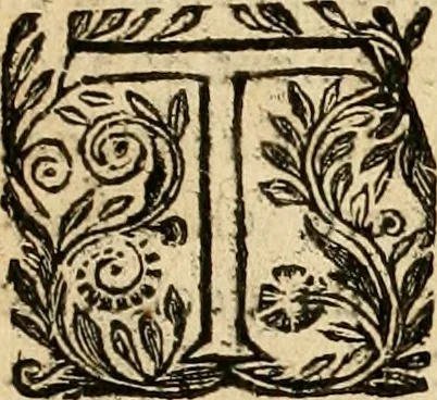 An illustration from Devises panegyriques pour Anne d'Austriche, reine de France, 1667, leaf 358