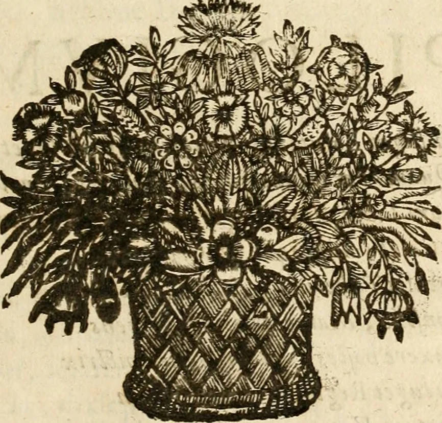 An illustration from Devises panegyriques pour Anne d'Austriche, reine de France, 1667, leaf 390