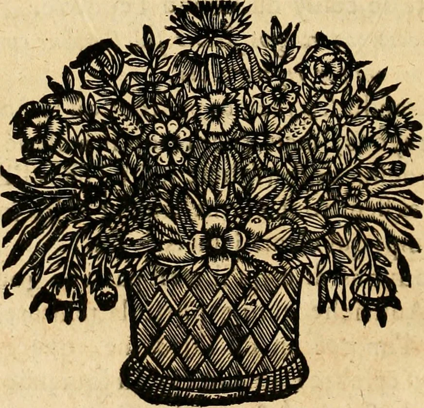 An illustration from Devises panegyriques pour Anne d'Austriche, reine de France, 1667, leaf 43
