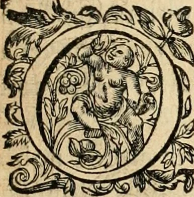 An illustration from Devises panegyriques pour Anne d'Austriche, reine de France, 1667, leaf 46