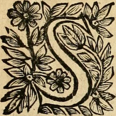 An illustration from Devises panegyriques pour Anne d'Austriche, reine de France, 1667, leaf 64