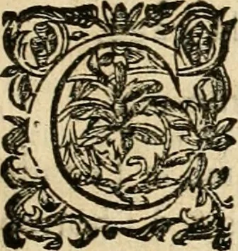 An illustration from Devises panegyriques pour Anne d'Austriche, reine de France, 1667, leaf 80