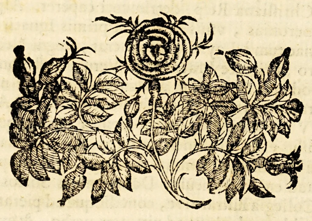 An illustration from De vita Francisci Borgiæ Societatis Iesu praepositi generalis ab Ignatio tertij. libri quattuor., 1596, leaf 108