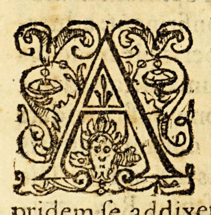 An illustration from De vita Francisci Borgiæ Societatis Iesu praepositi generalis ab Ignatio tertij. libri quattuor., 1596, leaf 128
