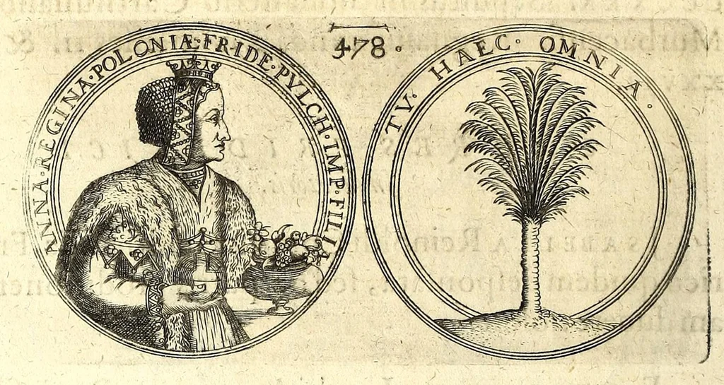 An illustration from De vitis imperatorum et caesarum romanorum : tam occidentalium quam orientalium, nec non vxorum et liberorum eorum, item tyrannorum omnium ... : inde à C. Julio Caesare, primo monarcha, vsque ad D.N. Imperatorem Caesarem Matthiam : vnà cum eorum effigiebus & symbolis ..., 1615, leaf 476