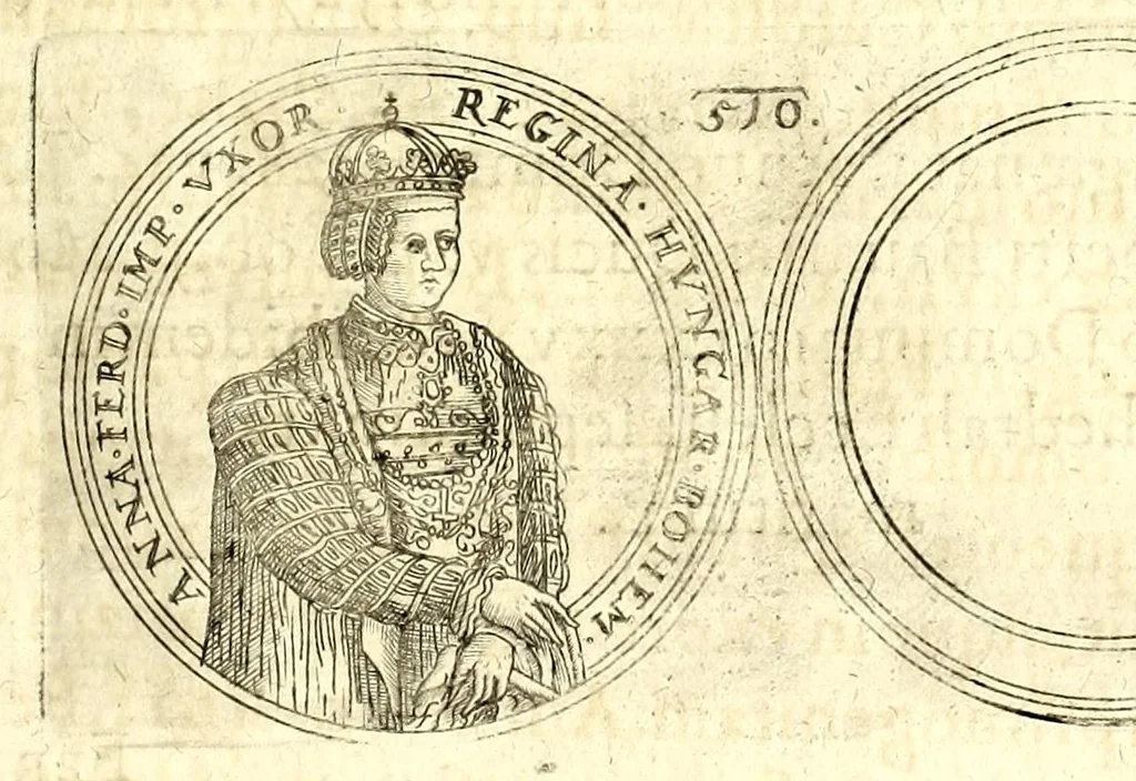 An illustration from De vitis imperatorum et caesarum romanorum : tam occidentalium quam orientalium, nec non vxorum et liberorum eorum, item tyrannorum omnium ... : inde à C. Julio Caesare, primo monarcha, vsque ad D.N. Imperatorem Caesarem Matthiam : vnà cum eorum effigiebus & symbolis ..., 1615, leaf 513