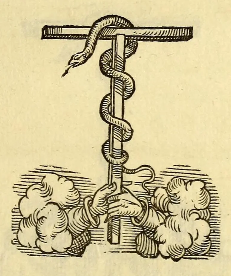 An illustration from De vniuersitate liber, : in quo astronomiae doctrinaeúe coelestis compe[n]dium terrae aptatum, & secundum coelestis influxus ordinem pr[a]ecipuarúmq[ue] originum ratione[m] totus orbis terrae quatenus innotuit, cum regnoru[m] temporibus exponitur. Sed ante omneis alias orbis parteis Terra Sancta summo, hoc est, amplissimo compendio describitur. cui Gallia ob primarium orbis nomen & ius substituitur, eo quòd ambae toti orbi legem sunt daturae., 1563, leaf 83
