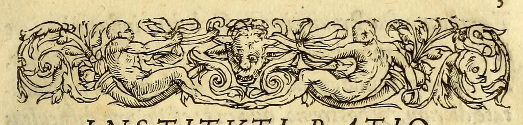 An illustration from De vniuersitate liber, : in quo astronomiae doctrinaeúe coelestis compe[n]dium terrae aptatum, & secundum coelestis influxus ordinem pr[a]ecipuarúmq[ue] originum ratione[m] totus orbis terrae quatenus innotuit, cum regnoru[m] temporibus exponitur. Sed ante omneis alias orbis parteis Terra Sancta summo, hoc est, amplissimo compendio describitur. cui Gallia ob primarium orbis nomen & ius substituitur, eo quòd ambae toti orbi legem sunt daturae., 1563, leaf 87