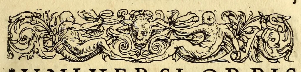 An illustration from De vniuersitate liber, : in quo astronomiae doctrinaeúe coelestis compe[n]dium terrae aptatum, & secundum coelestis influxus ordinem pr[a]ecipuarúmq[ue] originum ratione[m] totus orbis terrae quatenus innotuit, cum regnoru[m] temporibus exponitur. Sed ante omneis alias orbis parteis Terra Sancta summo, hoc est, amplissimo compendio describitur. cui Gallia ob primarium orbis nomen & ius substituitur, eo quòd ambae toti orbi legem sunt daturae., 1563, leaf 89