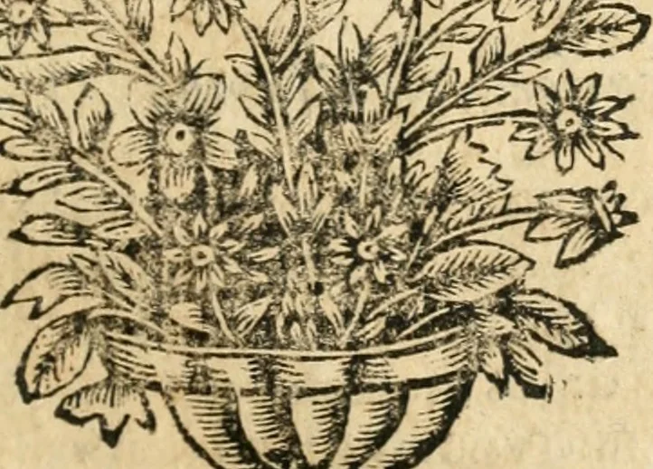An illustration from Idea de vn principe politico christiano : representada en cien empressas, 1666, leaf 132