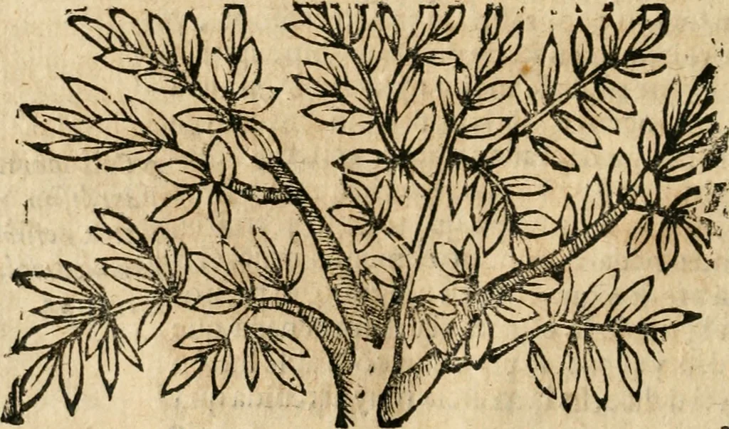 An illustration from Idea de vn principe politico christiano : representada en cien empressas, 1666, leaf 161