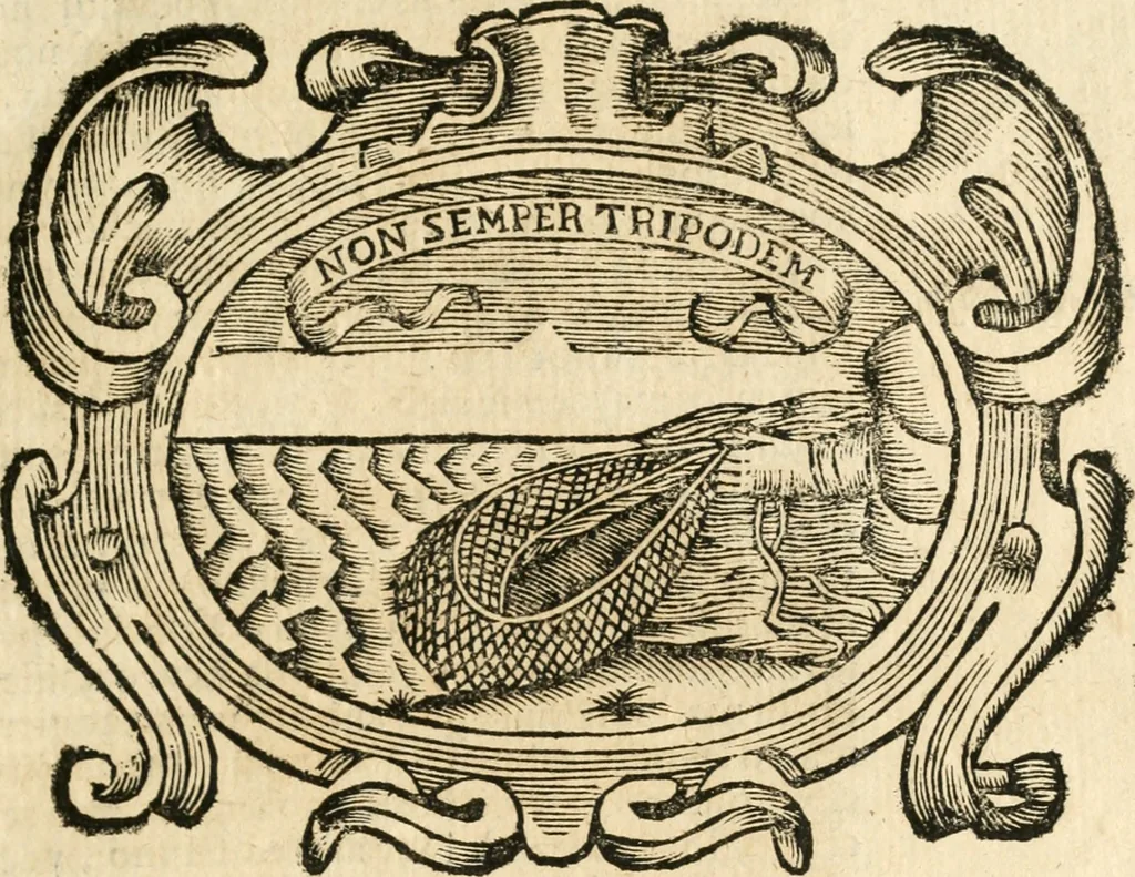 An illustration from Idea de vn principe politico christiano : representada en cien empressas, 1666, leaf 196