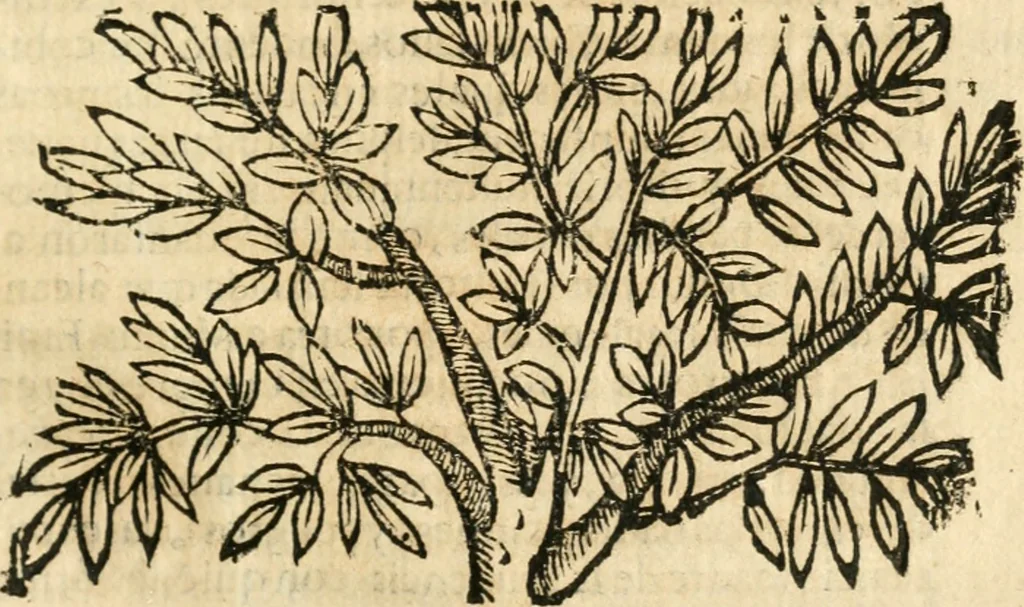 An illustration from Idea de vn principe politico christiano : representada en cien empressas, 1666, leaf 200