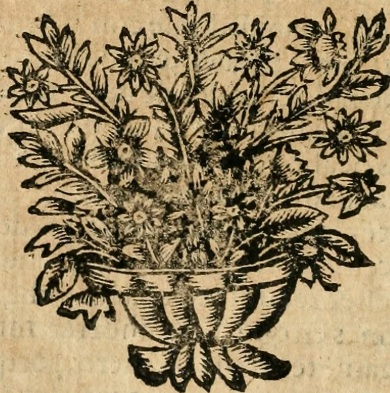 An illustration from Idea de vn principe politico christiano : representada en cien empressas, 1666, leaf 269