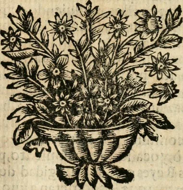 An illustration from Idea de vn principe politico christiano : representada en cien empressas, 1666, leaf 333