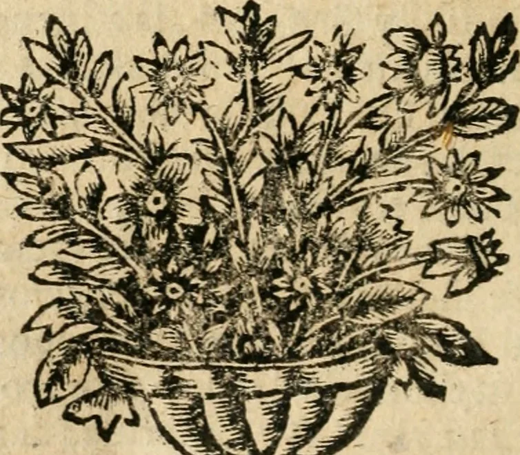 An illustration from Idea de vn principe politico christiano : representada en cien empressas, 1666, leaf 353