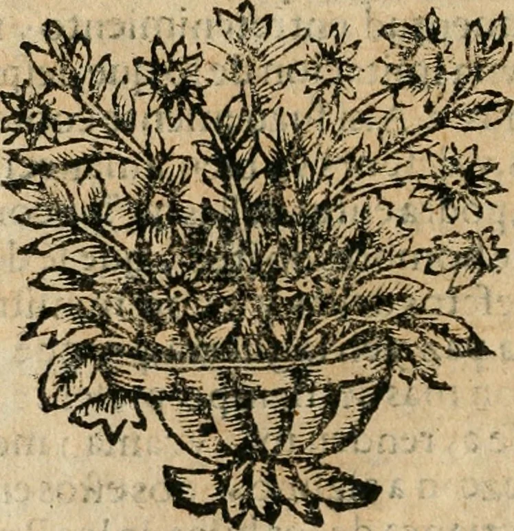 An illustration from Idea de vn principe politico christiano : representada en cien empressas, 1666, leaf 51