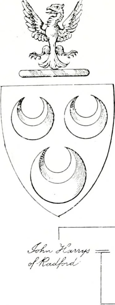 An illustration from Devonshire pedigrees : recorded in the herald's visitation of 1620, with additions from the Harleian manuscripts, and the printed collections of Westcote and Pole, 1859, leaf 131