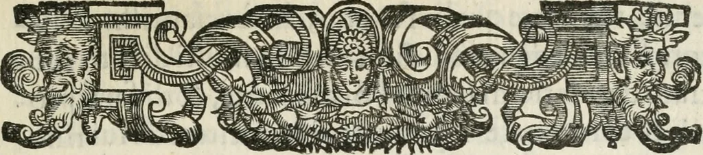An illustration from Devote attioni di Milano, nel tenersi il Concilio prouinciale settimo, et nella traslatione di sei corpi santi & di molte sacre reliquie, da gl'illustriss. & reuerendiss. signori cardinale Federico Borromeo arciuescouo della Metropolitana & vescoui della Prouincia, 1611, leaf 14