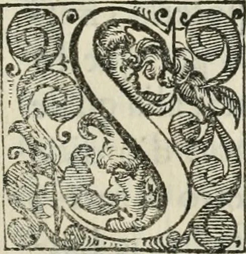 An illustration from Devote attioni di Milano, nel tenersi il Concilio prouinciale settimo, et nella traslatione di sei corpi santi & di molte sacre reliquie, da gl'illustriss. & reuerendiss. signori cardinale Federico Borromeo arciuescouo della Metropolitana & vescoui della Prouincia, 1611, leaf 14